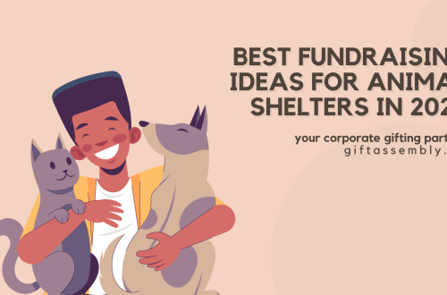 Best Fundraising Ideas for Animal Shelters in 2025 | Corporate Gifts Singapore